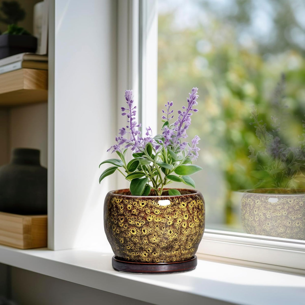 SQOWL 6 Inch Plant Pot - Ceramic Flower Pots with Drainage Hole and Saucer, Ceramic Planter for