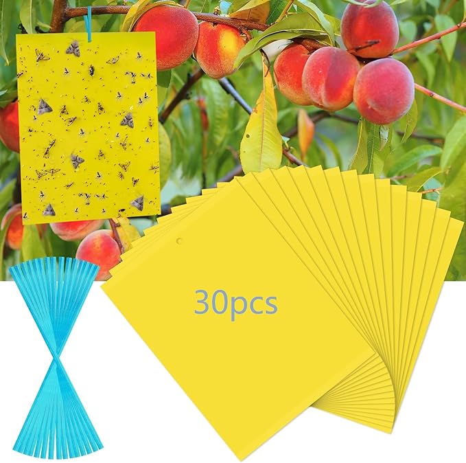 30 Pack Yellow Sticky Traps Fruit Fly Trap, Double-Sided Fungus Gnat Trap Insects Pest Killer for