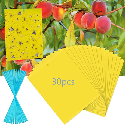 30 Pack Yellow Sticky Traps Fruit Fly Trap, Double-Sided Fungus Gnat Trap Insects Pest Killer for