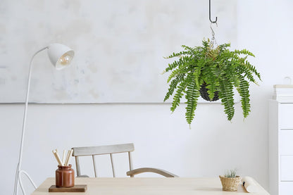 Hollyone 21" Artificial Boston Fern Hanging Basket 31 Leaves Fake Ferns in Rattan Pot Medium