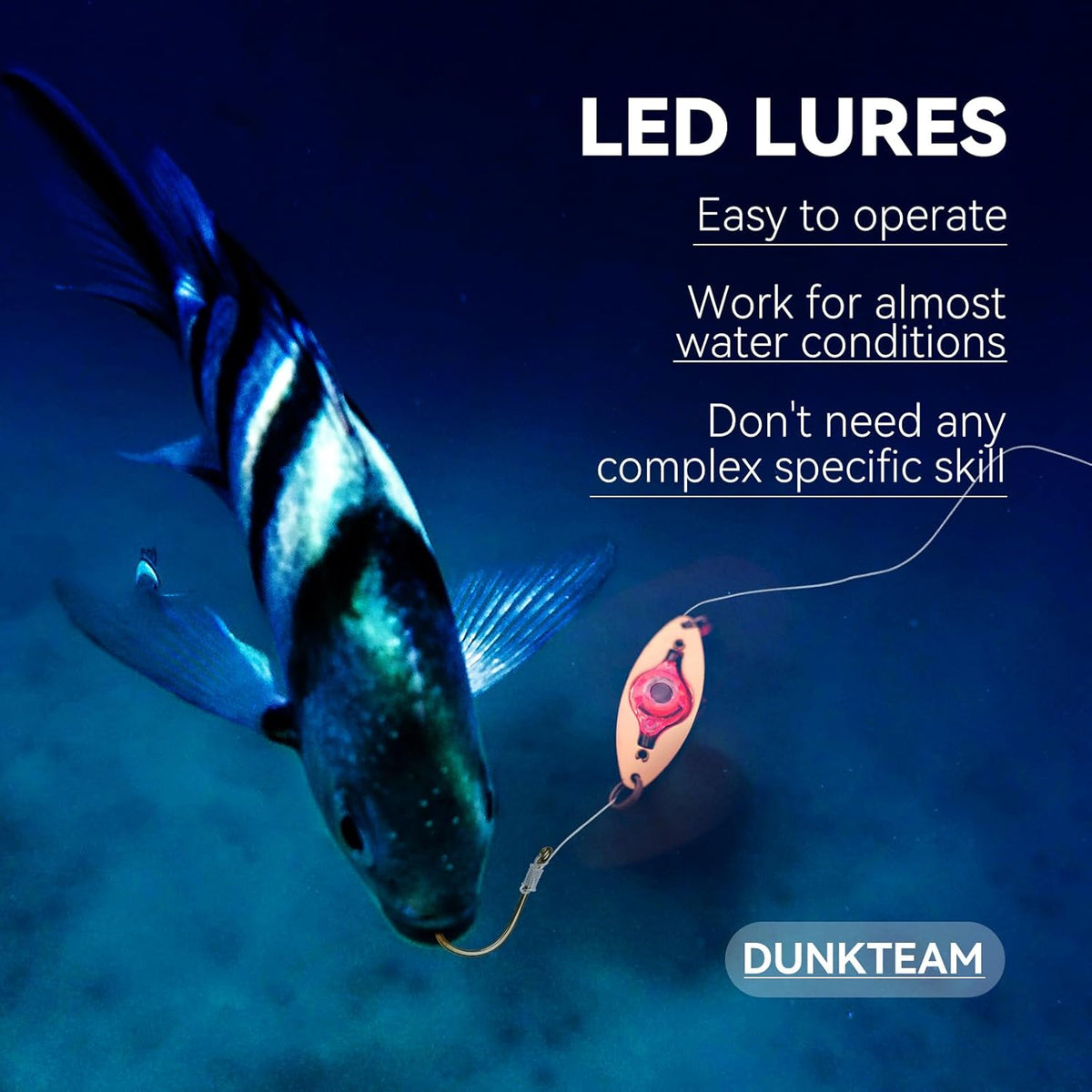 LED Underwater Fishing Lures，LED Lighted Bait Flasher，Deep Drop Fishing Lures，Fish Eye Attractive