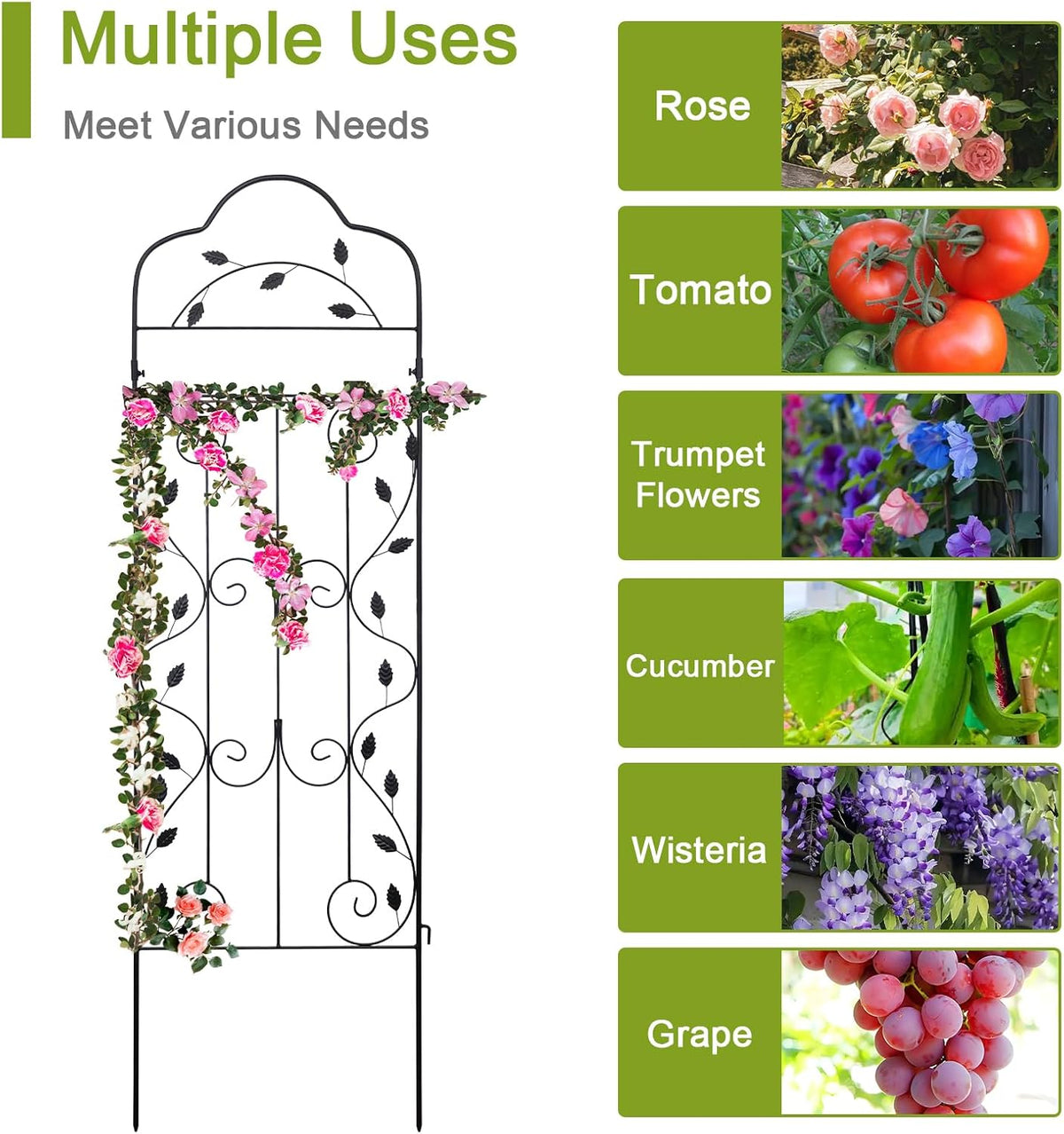 hogardeck Metal 60 * 18in Garden Trellis 2-Packs for Climbing Plants Flowers Vegetables Planting