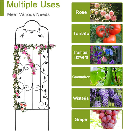 hogardeck Metal 60 * 18in Garden Trellis 2-Packs for Climbing Plants Flowers Vegetables Planting