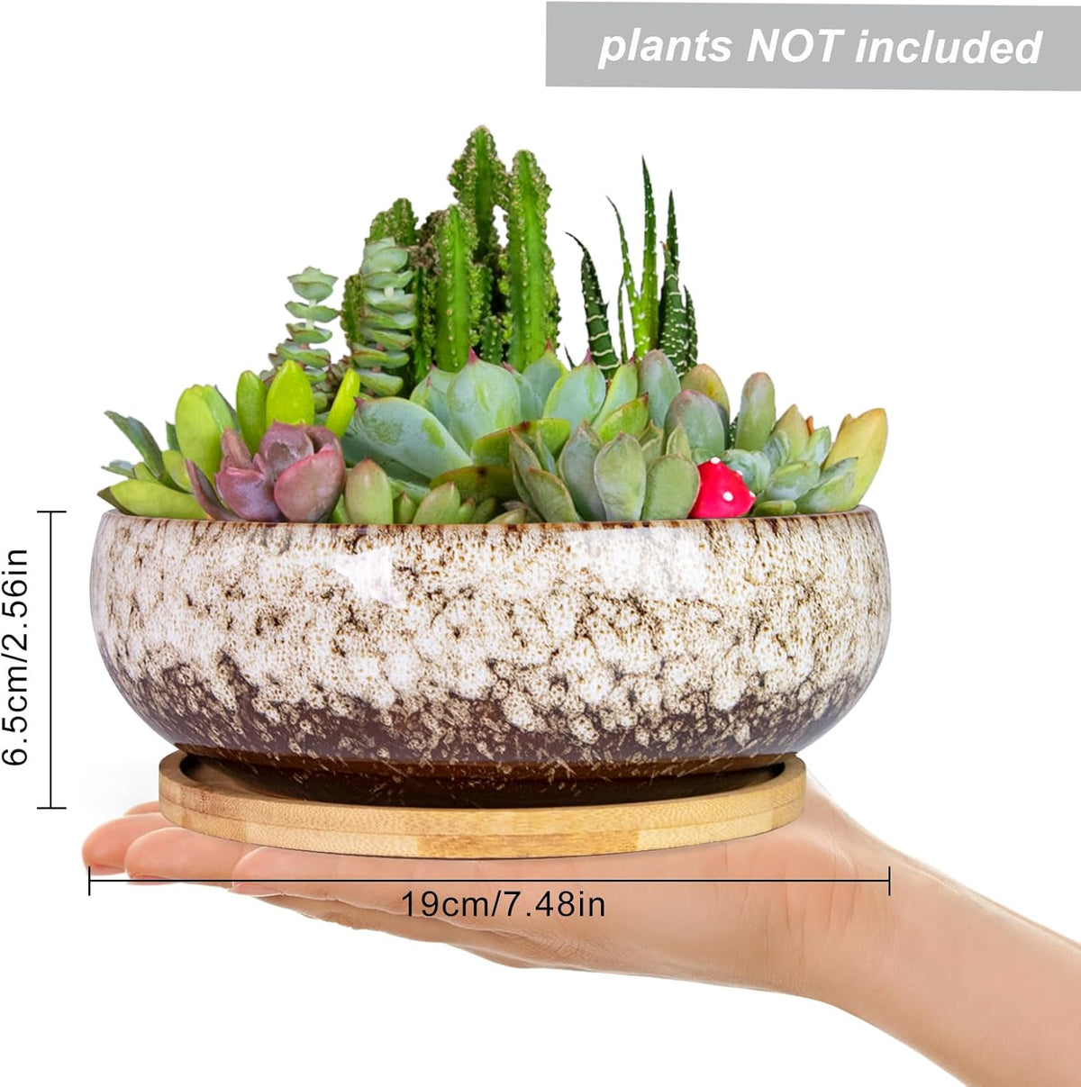 ARTKETTY Succulent Pots - 7.5 Inch Large Plant Pot with Bamboo Tray, Shallow Bonsai Pots with