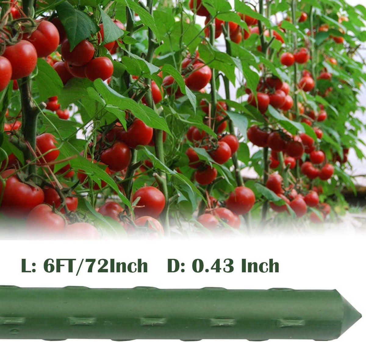 Sunnyglade 72 Inch Garden Stakes, Tomato Stakes Plastic Coated Metal Plant Sticks Stakes Supports