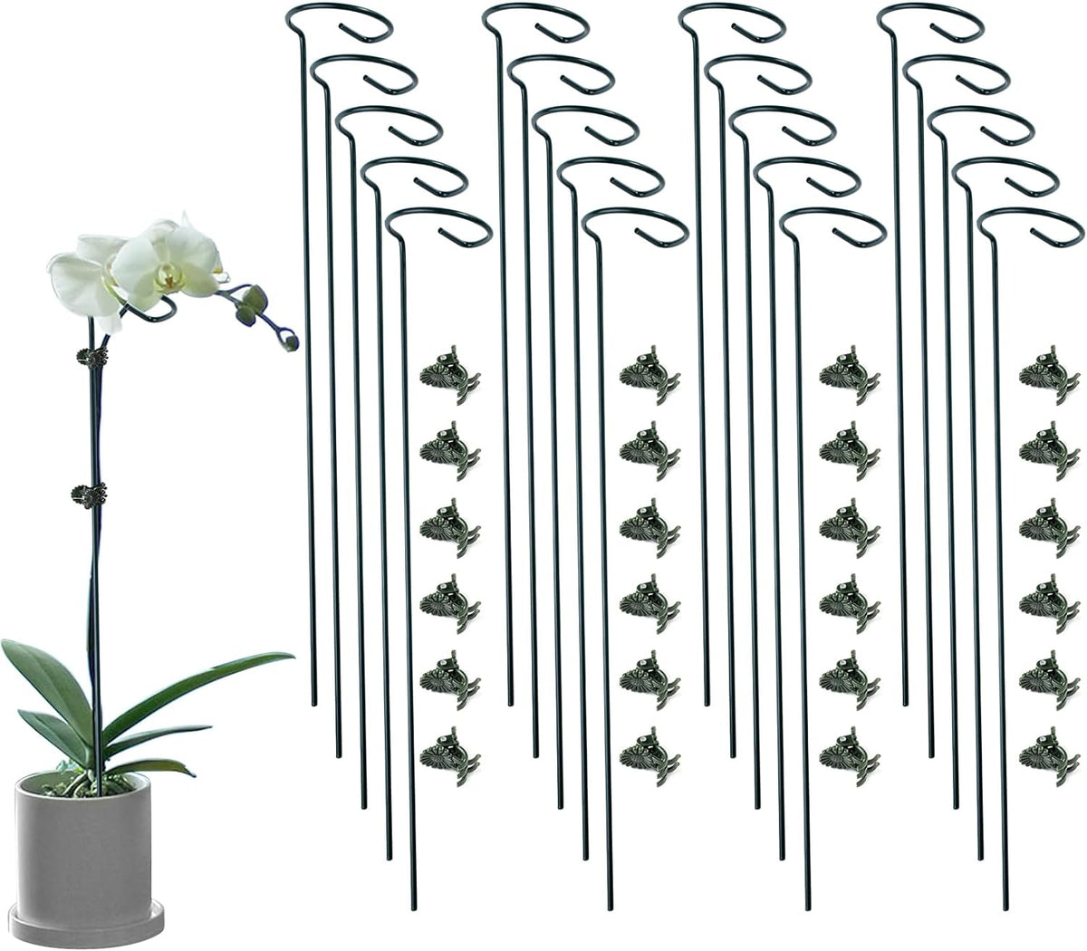 20 Pack Plant Support Stakes with 24 Pcs Plant Clips, Garden Single Stem Support Stake, Plant Cage