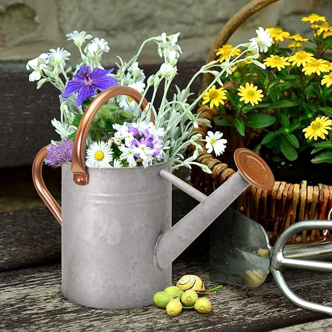 Metal Watering Can with Removable Spout, Galvanized Watering Can, Perfect for Indoor Use and for