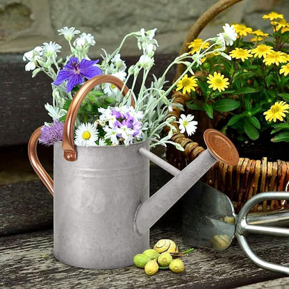 Metal Watering Can with Removable Spout, Galvanized Watering Can, Perfect for Indoor Use and for