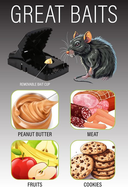 Rat Trap Six Pack - Indoor and Outdoor Traps for Mice, Voles, Rats, Chipmunks - Easy to Set