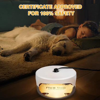 Flea Traps for Inside Your Home 2 Packs, Flea Light Trap for Indoor, Bed Bug Killer with Sticky