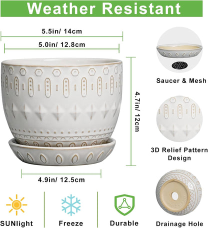 G EPGardening Ceramic Plant Pot - Succulent Pots with Drainage Hole and Saucer 5 Inch Planter for