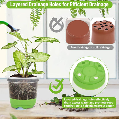 Caffox 57PCS Reusable Seed Starter Kit Includes 26 Packs 4" Clear Nursery Pots with Silicone Base