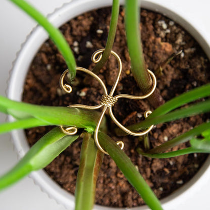 5Pcs Monstera Plant Stem Support Hook (2.75x2.75 inches) - Durable Metal Stem Support for Monstera