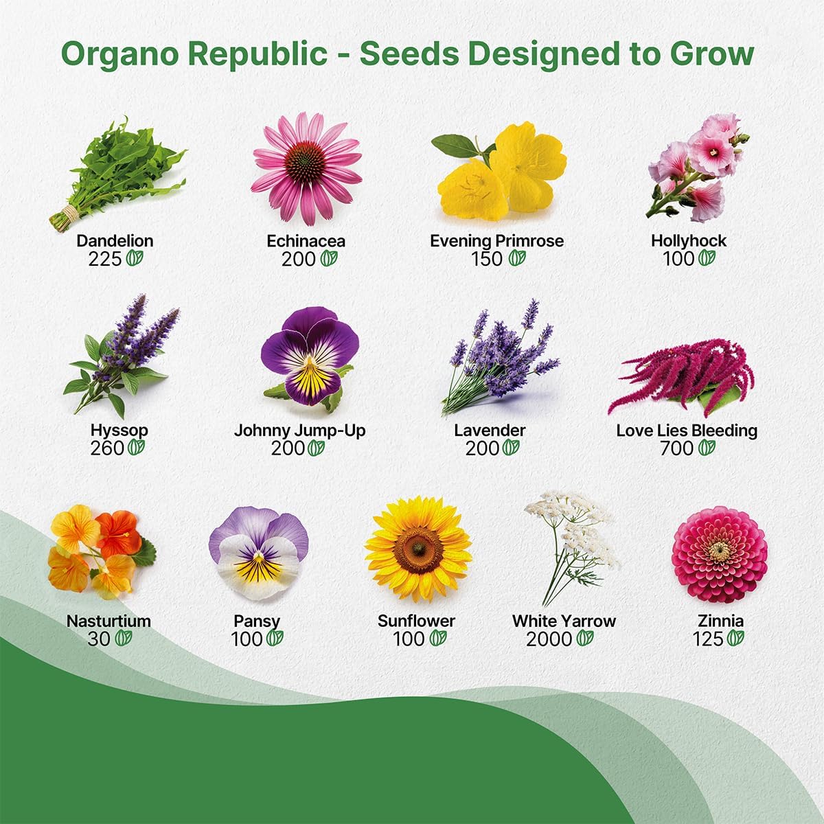 Organo Republic 25 Edible Flower Seeds Variety Pack for Indoor Outdoor Gardening - 8,000+ Non-GMO