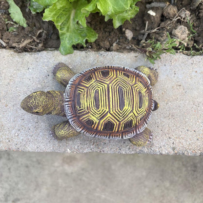 Turtle Statue, Walking Tortoise Figurine Outdoor Sculpture Decor for Yard Patio Garden