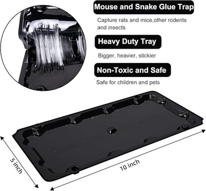 8 Pack Sticky Mouse Trap Rat Traps Indoor, Peanut Taste Pheromone Mouse Traps Indoor for Home, Glue