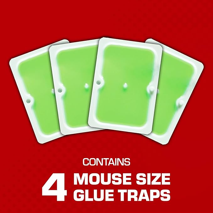 Tomcat Super Hold Glue Traps Mouse Size for Mice, Cockroaches, Spiders, and Scorpions