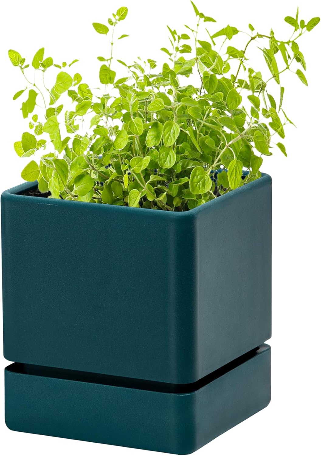 4 Inch Herb Planter Pot, Plastic Planter with Drainage Holes and Saucer, Modern Decorative