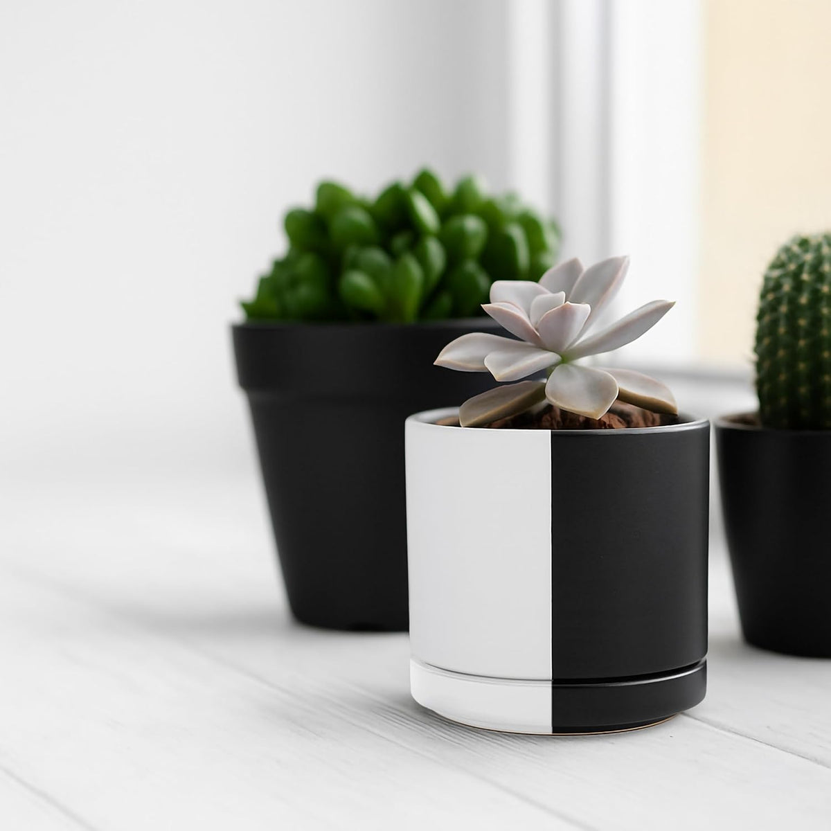 D'vine Dev 3.5 Inch Ceramic Planter Pot with Drainage Hole and Saucer, Indoor Cylinder Round