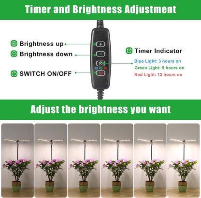 Plant Grow Lights for Indoor Plants Full Spectrum with 3/6/9H Timer & Dimming, Slim Plant Lights