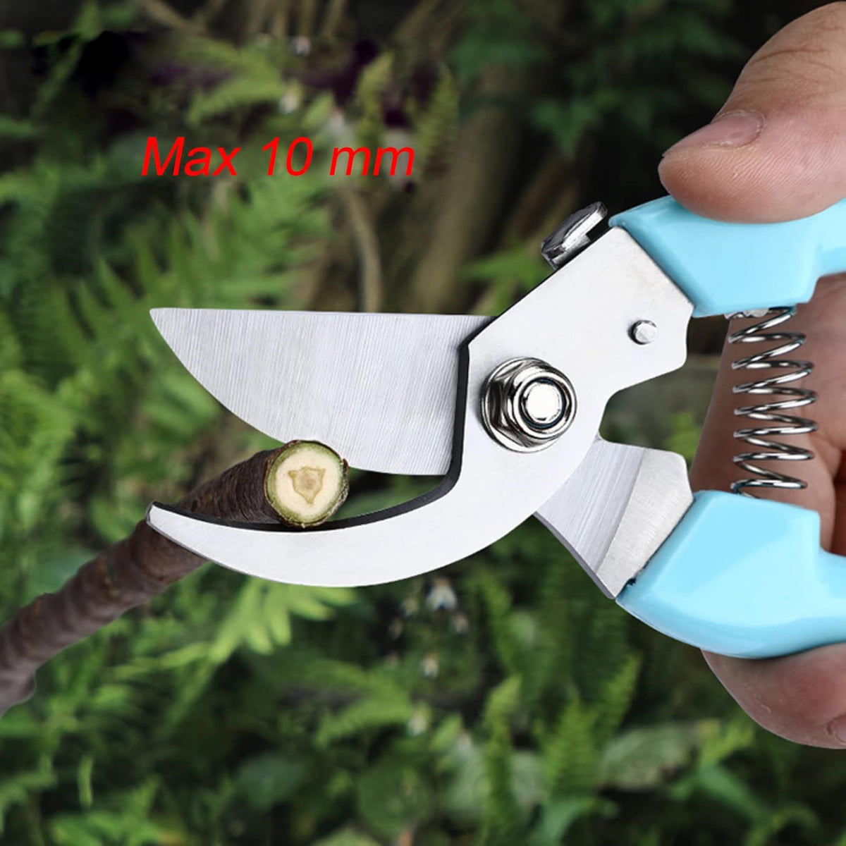 Curve Gardening Scissor with Sharp Stainless Steel Blade Garden Shears for Cutting Flowers Trimming