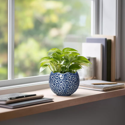 4 inch Plant Pots - Small Ceramic Planter with Drainage Hole, Succulent Pots for Indoor Outdoor