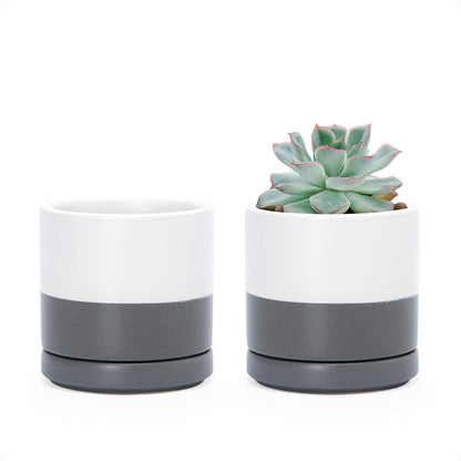 D'vine Dev Set of 2 Plants Pots, 3.5 Inch Ceramic Planter Pot for Plants with Drainage Hole and