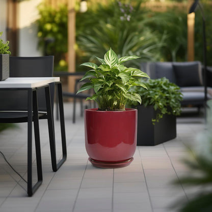 Ceramic Pots for Plants - 12 Inch Plant Pot Indoor with Drainage Hole and Saucer Large Planter