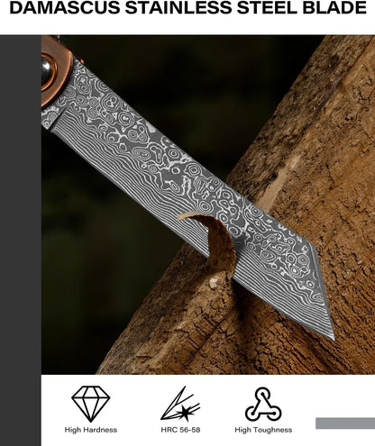 EDC Folding Knife, 2.8" Full Panel Plain Edge Blade, Non-Locking Pocket Knife Features Cloud