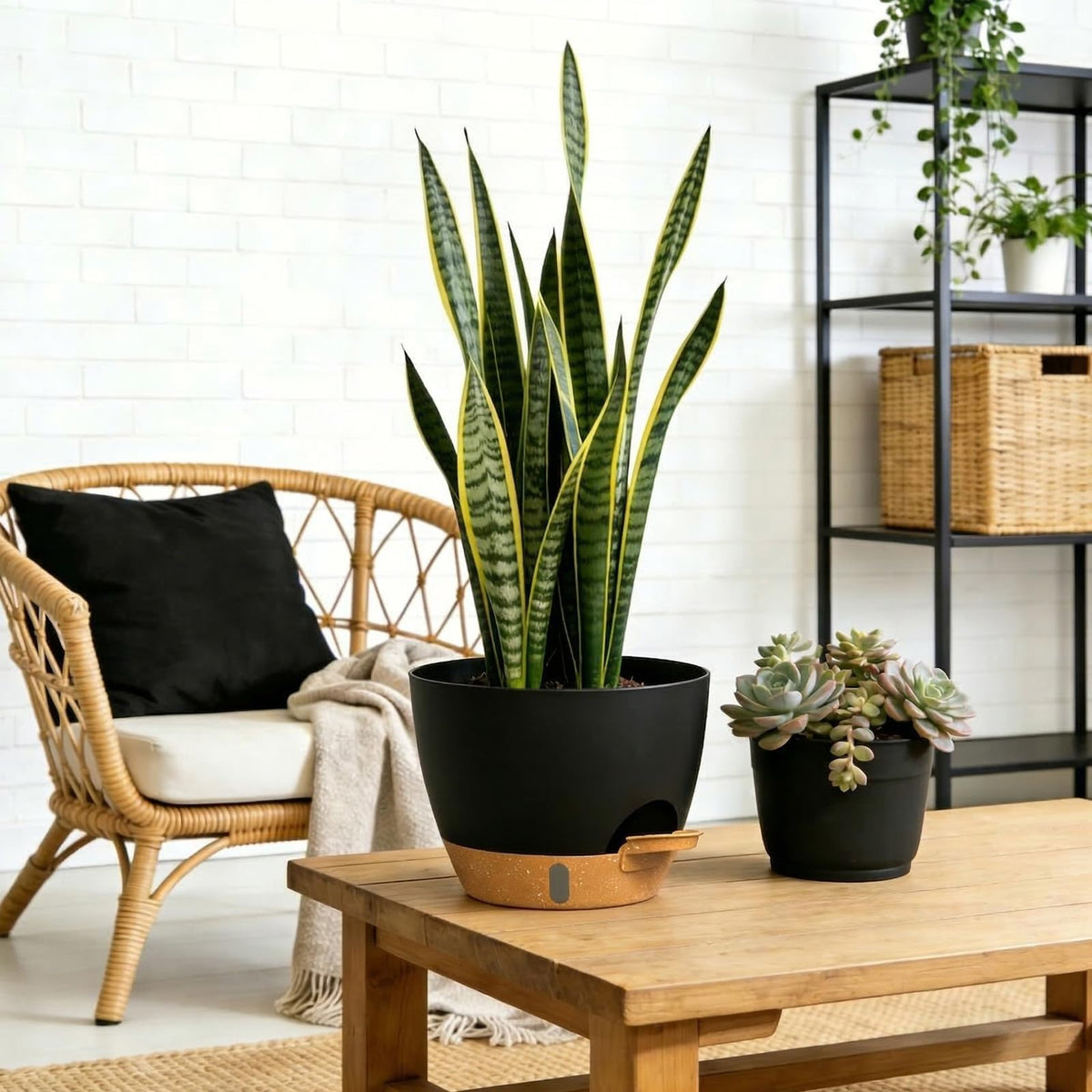 KUGAZ Self Watering Pots with Drainage Holes, 3 Pack 12/10/8 Inch Plant Pots with Water Level