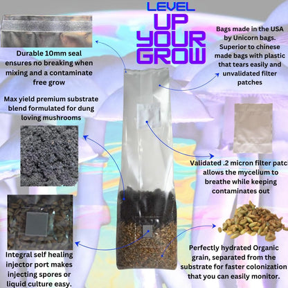 Mushroom Grow Kit - Magic All in One Mushroom Grow Bags - 4 Pack