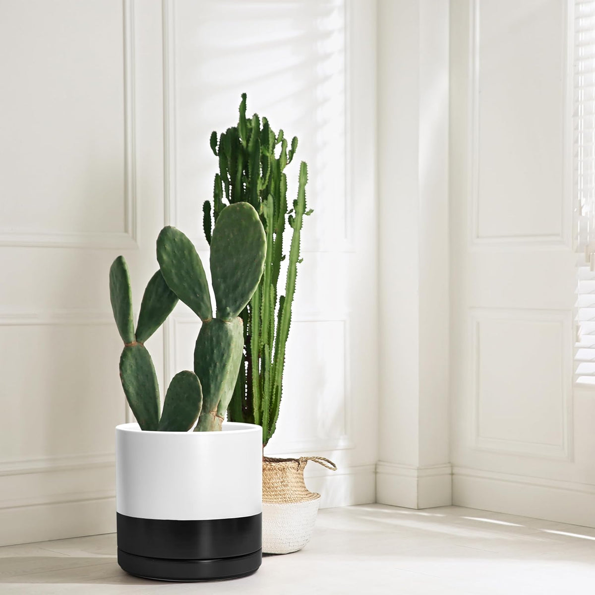D'vine Dev 12 Inch Ceramic Planter Pot with Drainage Hole and Saucer, Indoor Cylinder Round Planter
