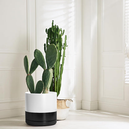 D'vine Dev 12 Inch Ceramic Planter Pot with Drainage Hole and Saucer, Indoor Cylinder Round Planter