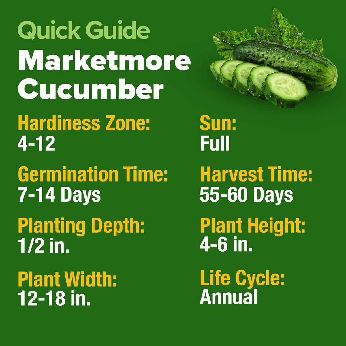 HOME GROWN 𝗨𝗦𝗔 𝗣𝗥𝗘𝗠𝗜𝗨𝗠 Organic Cucumber Seeds - 200 Marketmore Heirloom 𝗡𝗢𝗡-𝗚𝗠𝗢