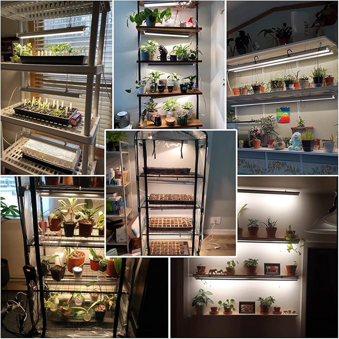 T5 LED Grow Lights, 204pcs Bulb 5000K White Full Spectrum Plant Light Strips for Indoor Plants
