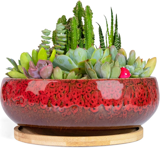 ARTKETTY Succulent Pots - 7.5 Inch Large Plant Pot with Bamboo Tray, Shallow Bonsai Pots with