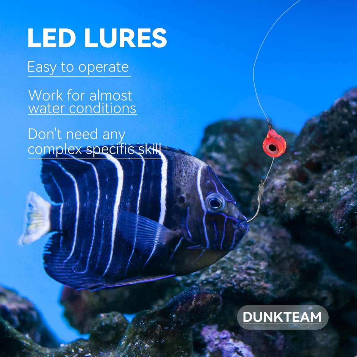 LED Underwater Fishing Lures，LED Lighted Bait Flasher，Deep Drop Fishing Lures，Fish Eye Attractive