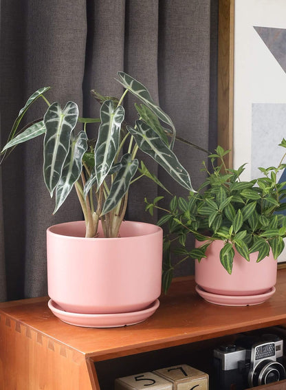 LE TAUCI Ceramic Plant Pots, 4.3+5.3+6.8 inch, Set of 3, Planters with Drainage Hole and Saucer