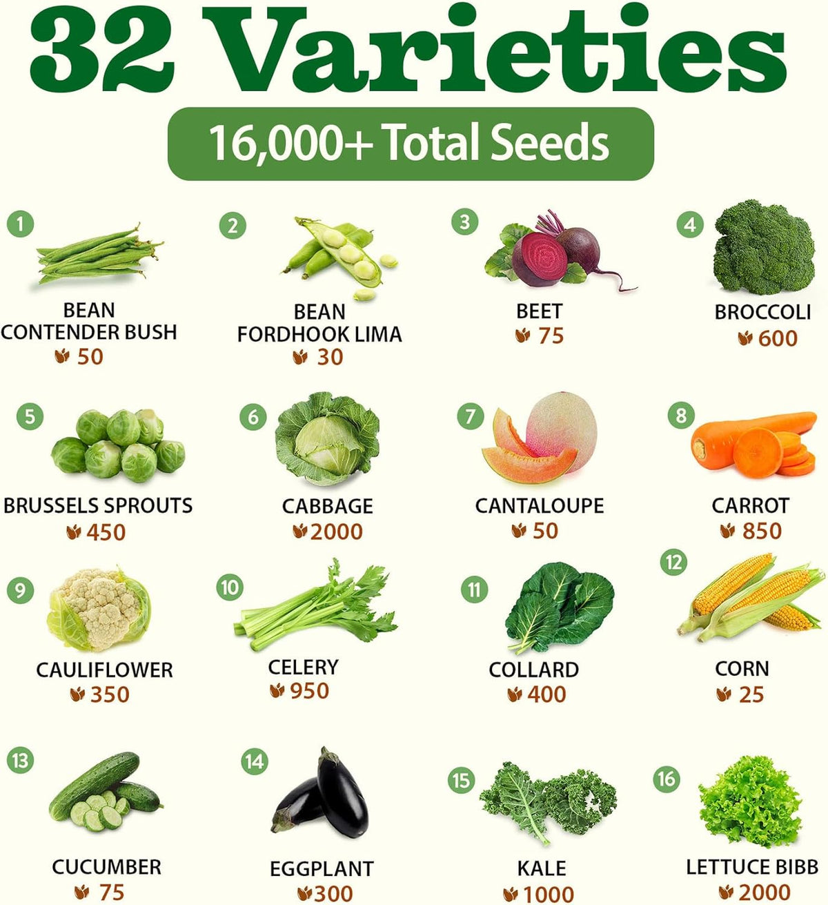 32 Heirloom Vegetable and Fruit Seeds for Planting - 16,000+ Seeds | Non-GMO Survival Seed Vault |