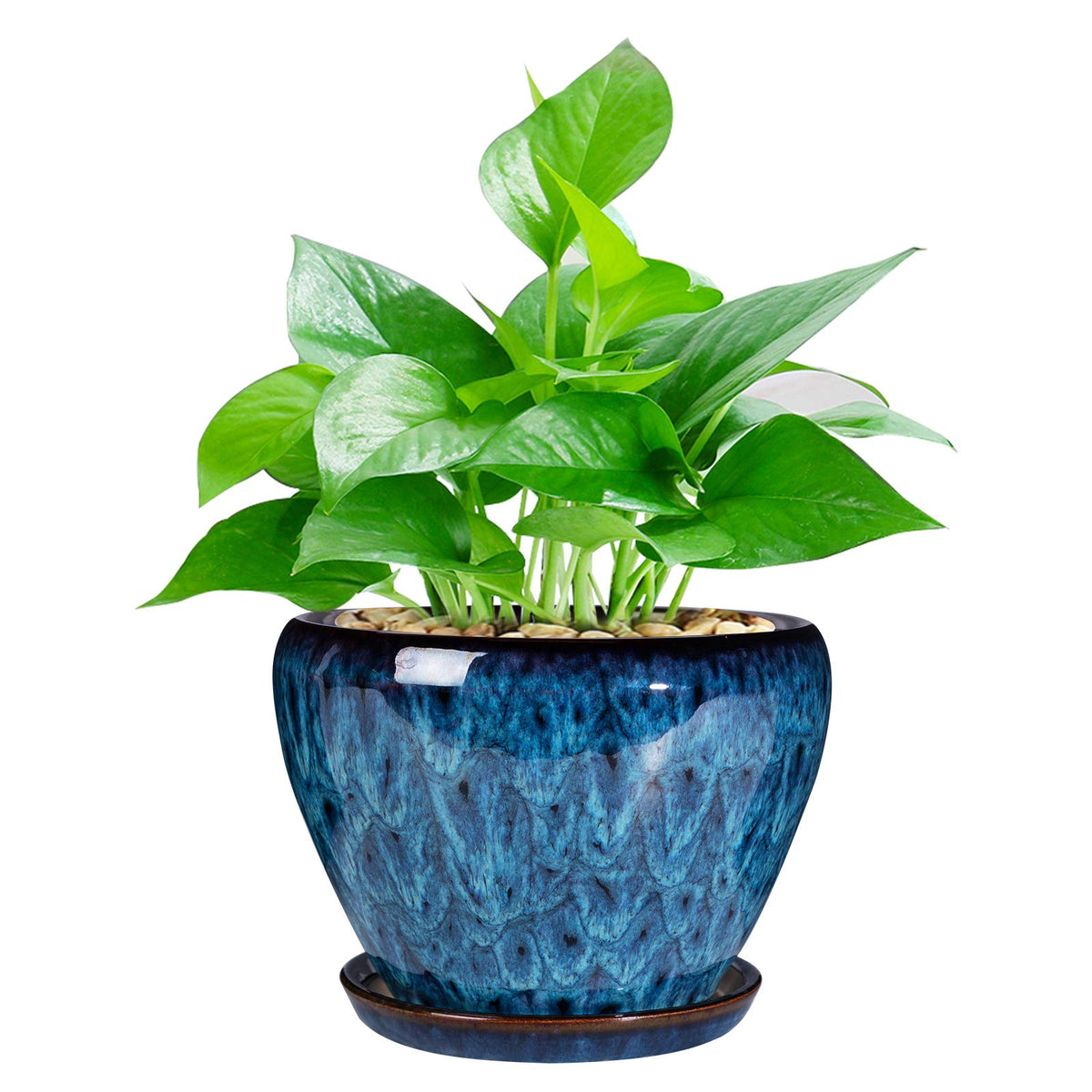 Ceramic Modern Glaze Succulent Planter Pot with Drainage Hole and Saucer 6 Inch Round Flower Plant