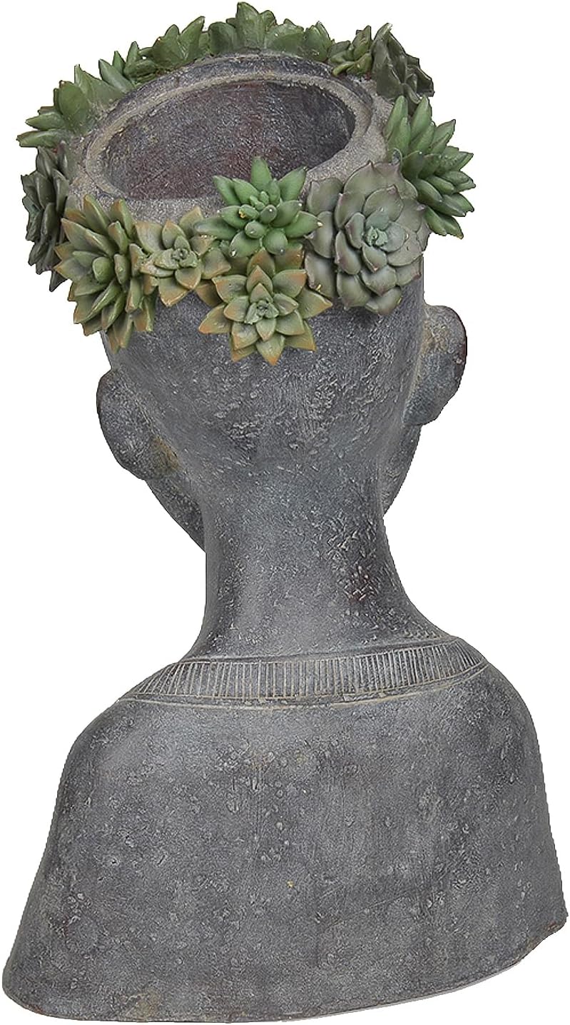 Newman House Studio Face Cactus Succulents Planter Pot - Indoor Outdoor Planter with Drainage Hole