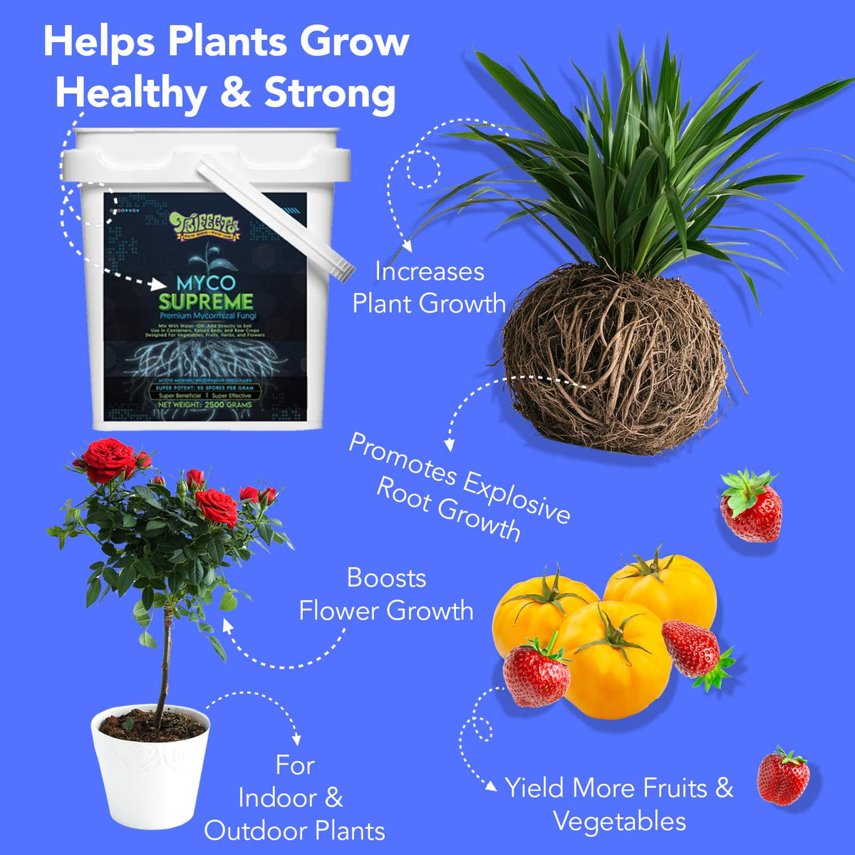 Mycorrhiza for Soil, Root Stimulator for Plants, Ultra Concentrated Mycorrhizae for Plants Strong