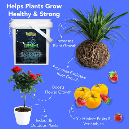 Mycorrhiza for Soil, Root Stimulator for Plants, Ultra Concentrated Mycorrhizae for Plants Strong