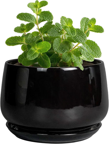 G EPGardening Small Ceramic Planter - 4 Inch Succulent Pots with Drainage Hole & Sacuer, Flower