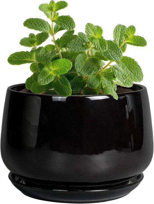 G EPGardening Small Ceramic Planter - 4 Inch Succulent Pots with Drainage Hole & Sacuer, Flower