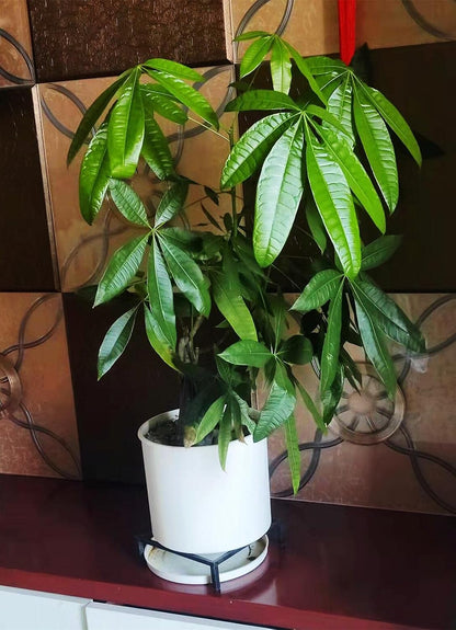 9.8" Metal Heavy Duty Potted Plant Stand Flower Pot Holder with Saucer Indoor Outdoor Rustproof
