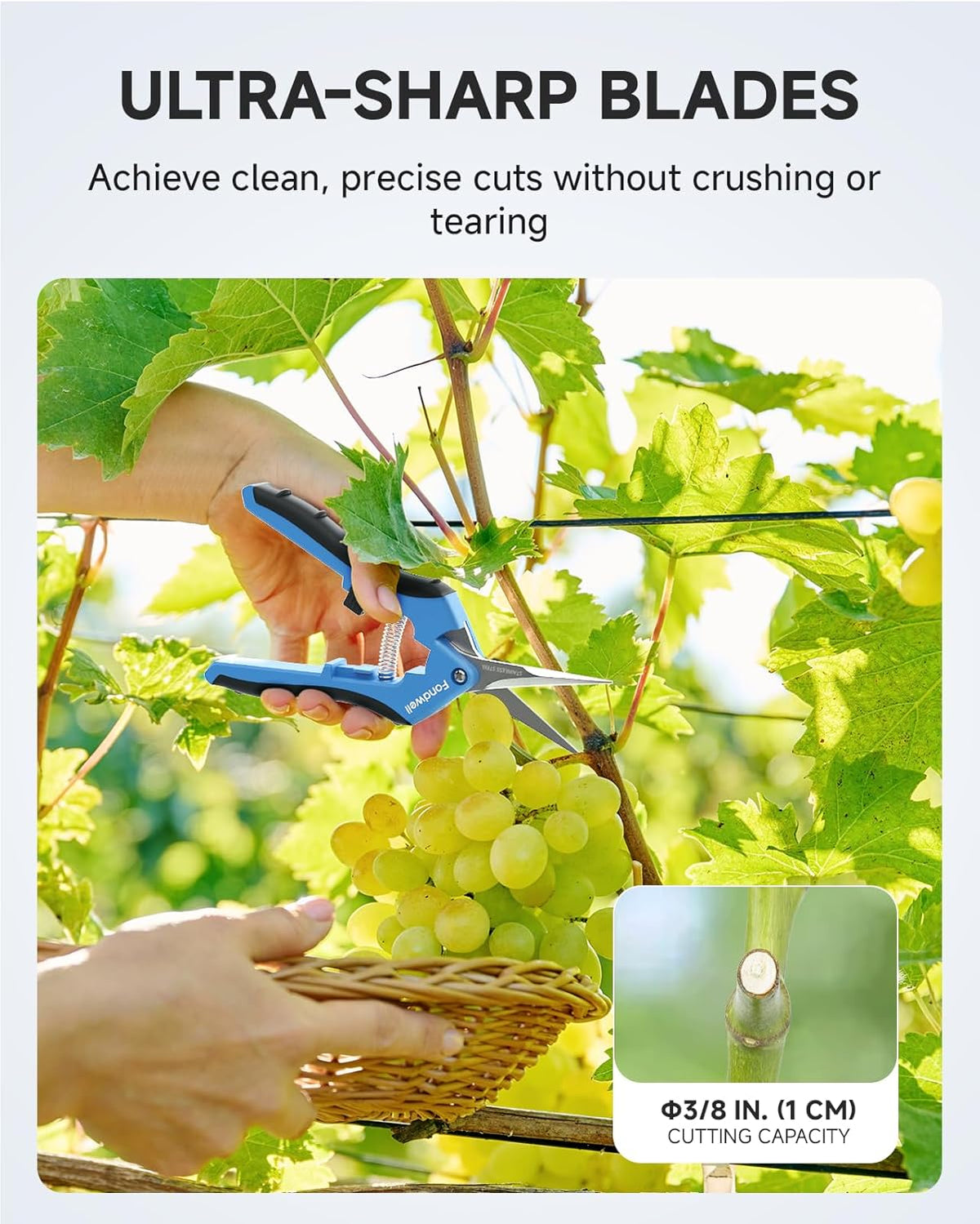 Fondwell 6.5" Pruning Shears Trimming Scissors: 2 Pack of Small Garden Snips with Micro Tip - Plant