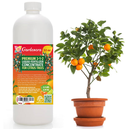Premium Liquid Citrus Tree Plant Fertilizer - 3-1-2 Concentrate for Indoor Plants and Flowers by