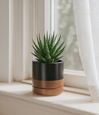 D'vine Dev 4.7 Inch Ceramic Planter Pot with Drainage Hole and Saucer, Indoor Cylinder Round