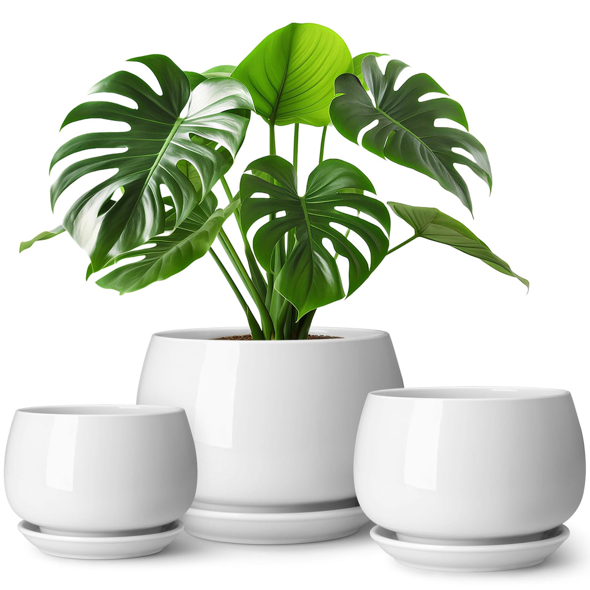 vancasso 3-Pack Ceramic Plant Pots, 3.7/4.8/6.2 Inch Indoor Planters with Saucers & Drainage Hole